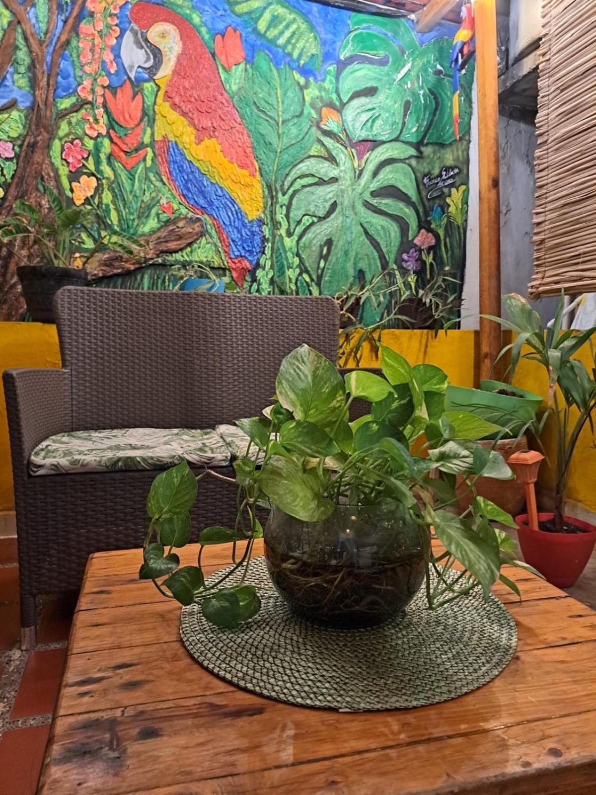 Hostel Shalom Adonai Cartagena エクステリア 写真