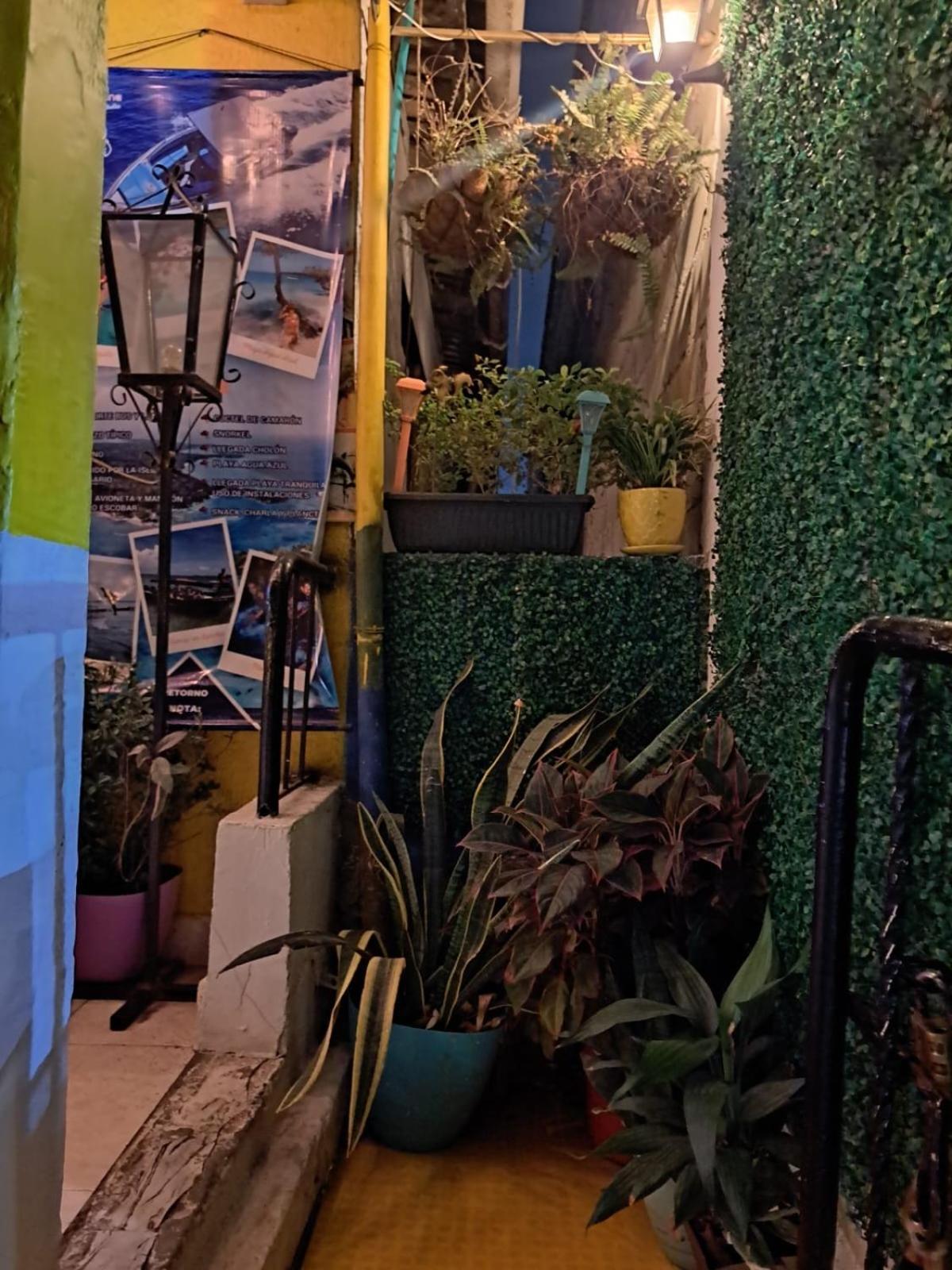 Hostel Shalom Adonai Cartagena エクステリア 写真